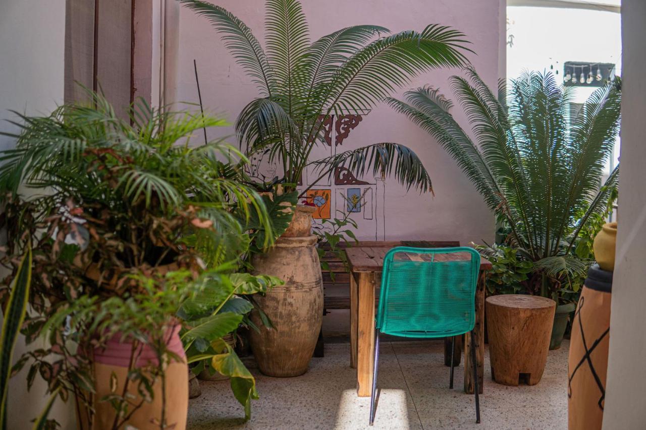Tarawanda House -Thrivestawi Bed and Breakfast Zanzibar Buitenkant foto